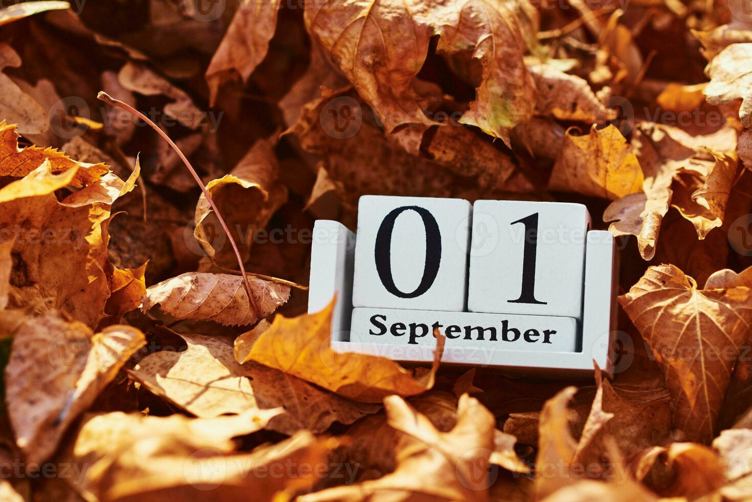 Wooden calendar block with date 1 september on a falling autumn leaves background photo