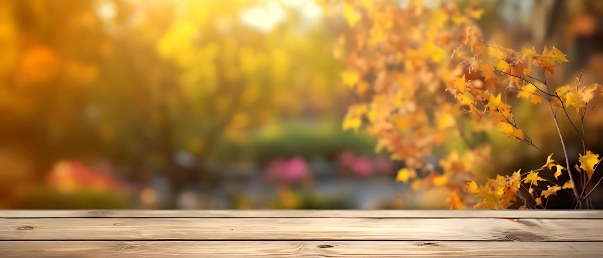 Empty Wooden table in garden of fall time. photo
