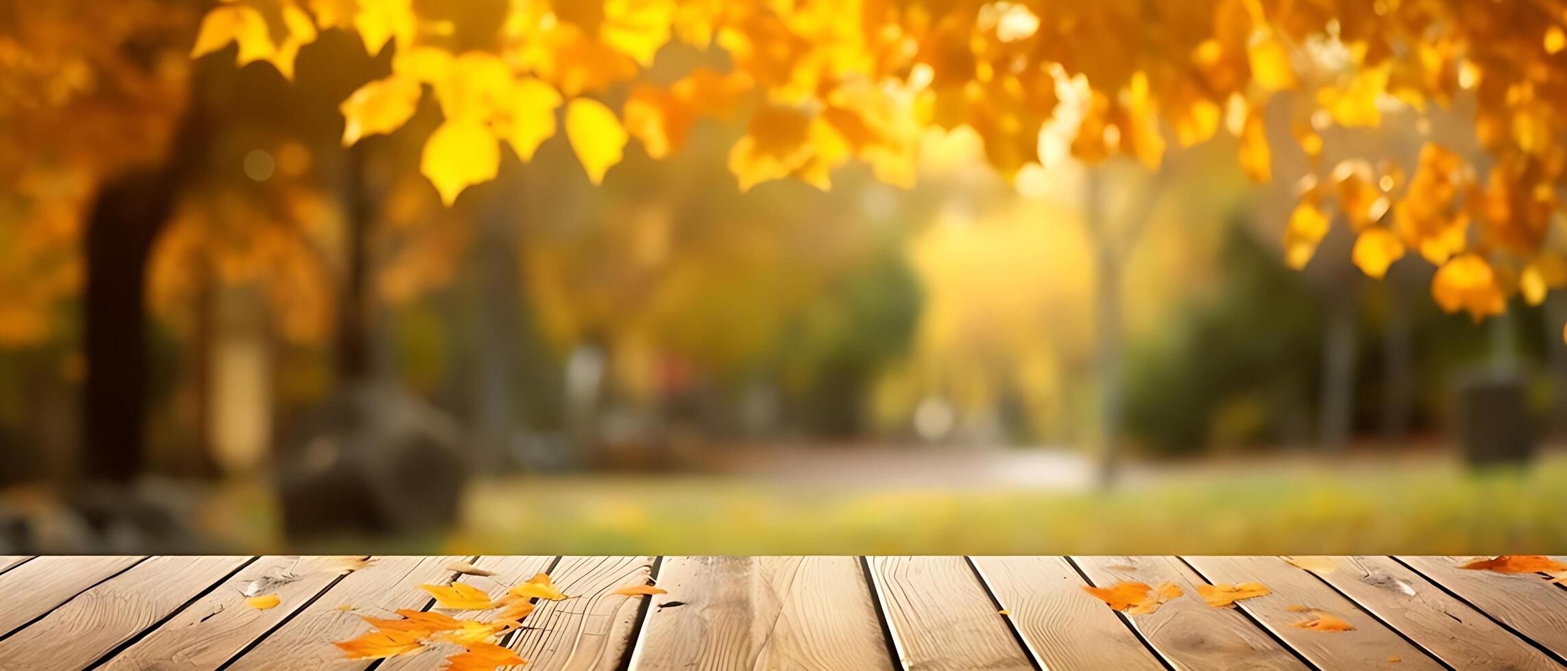 Empty Wooden table in garden of fall time. photo