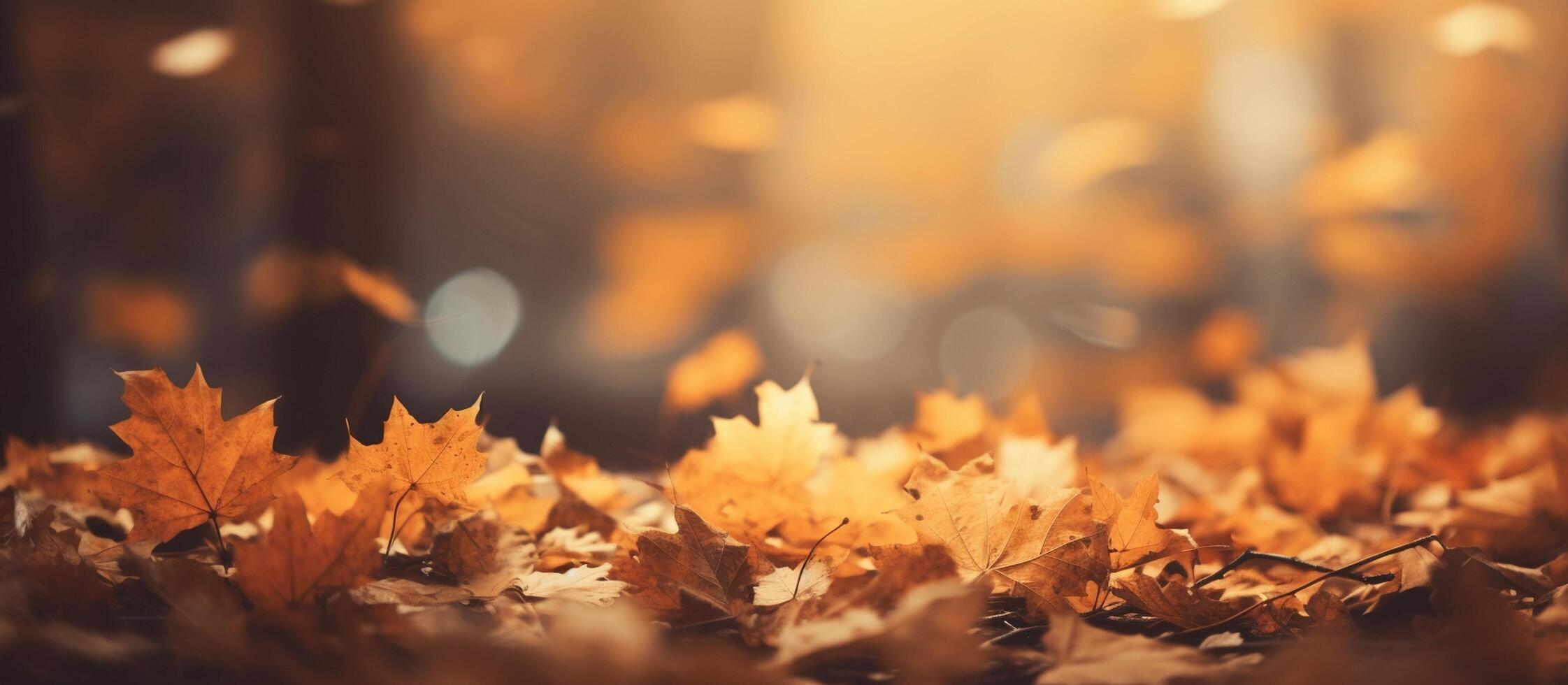 Beautiful autumn leaves on blurred background. photo
