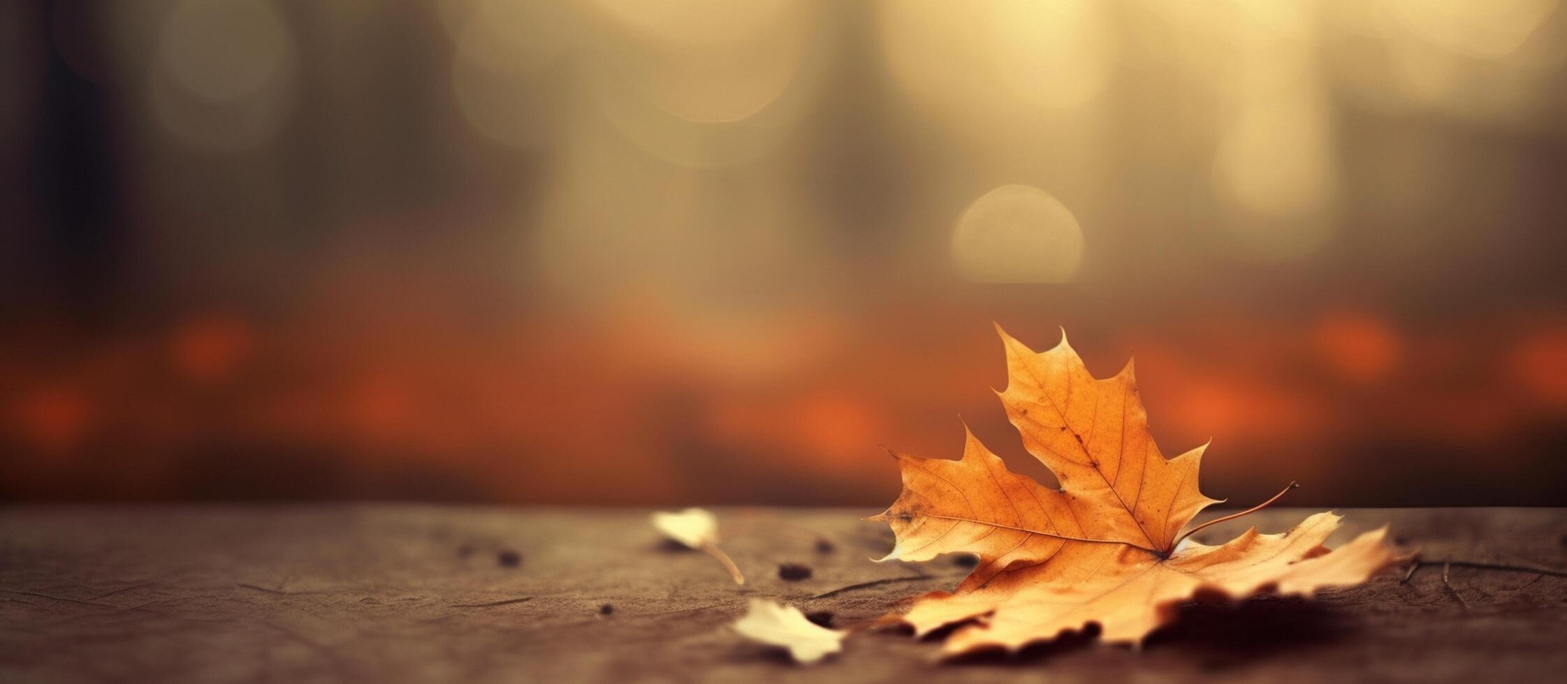 Beautiful autumn leaves on blurred background. photo