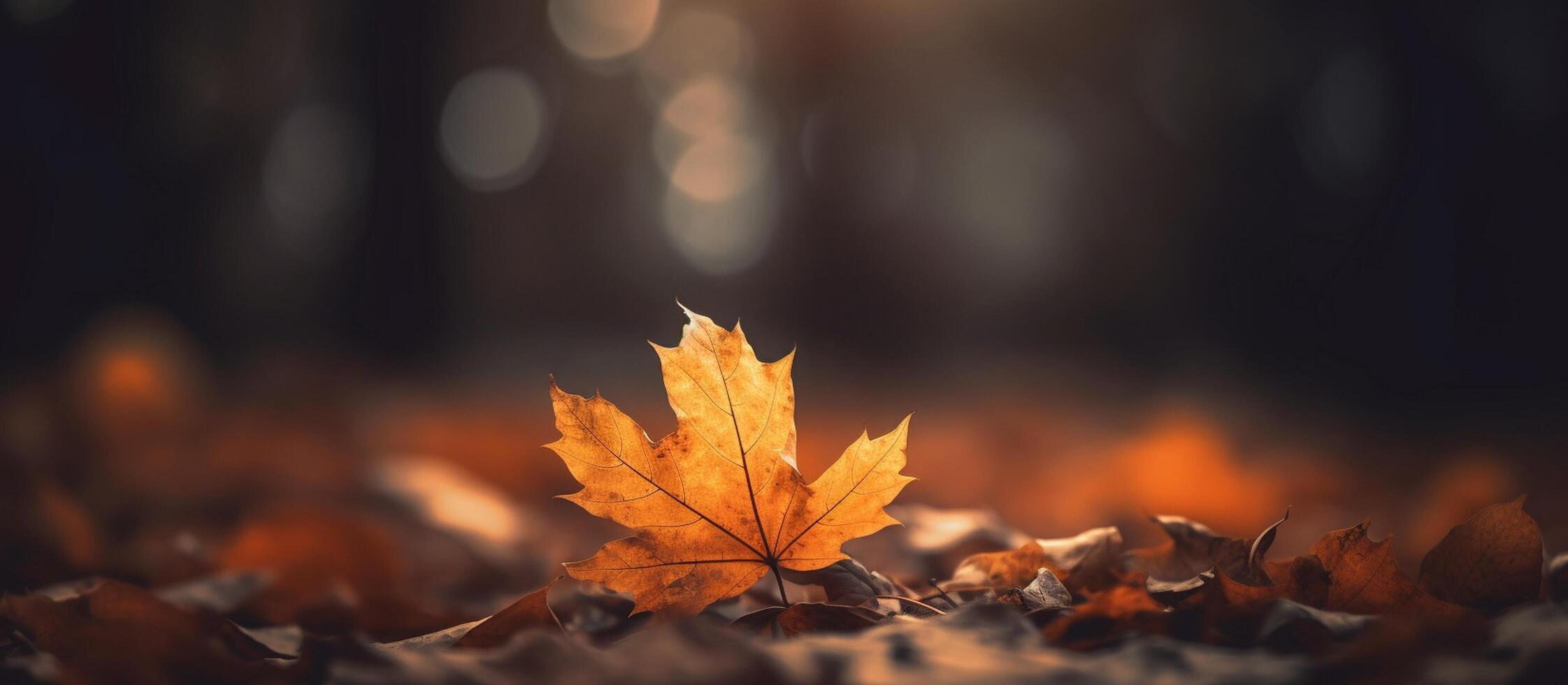 Beautiful autumn leaves on blurred background. AI Generated photo