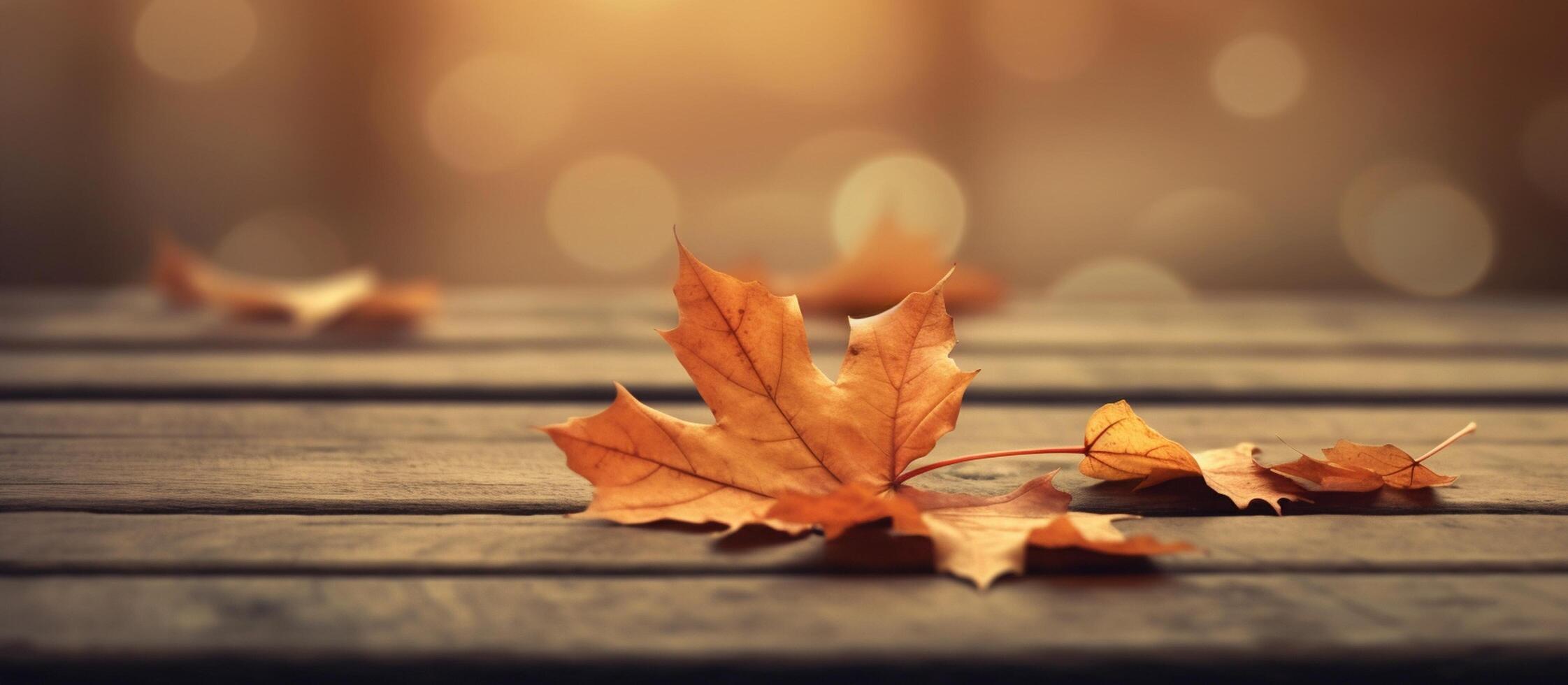 Beautiful autumn leaves on blurred background. photo