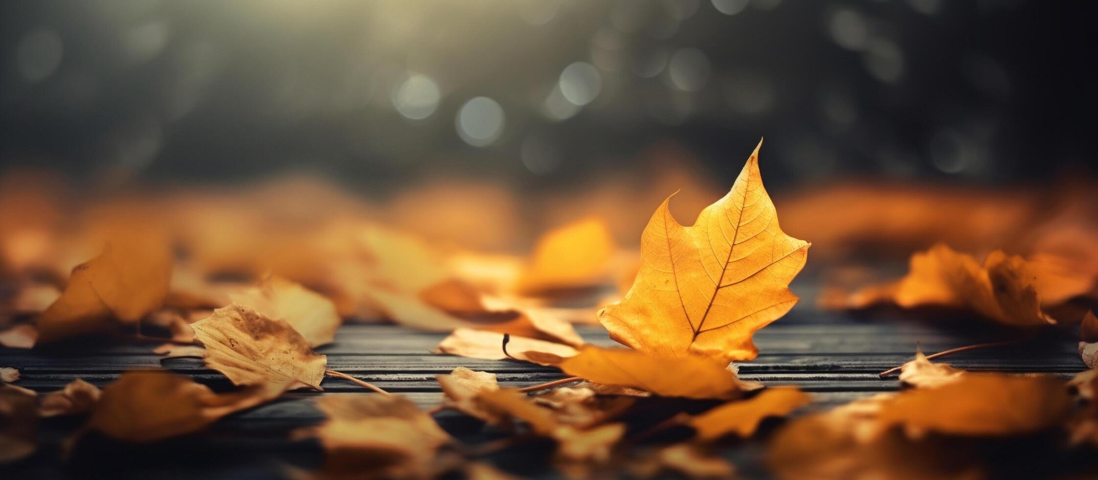 Beautiful autumn leaves on blurred background. photo