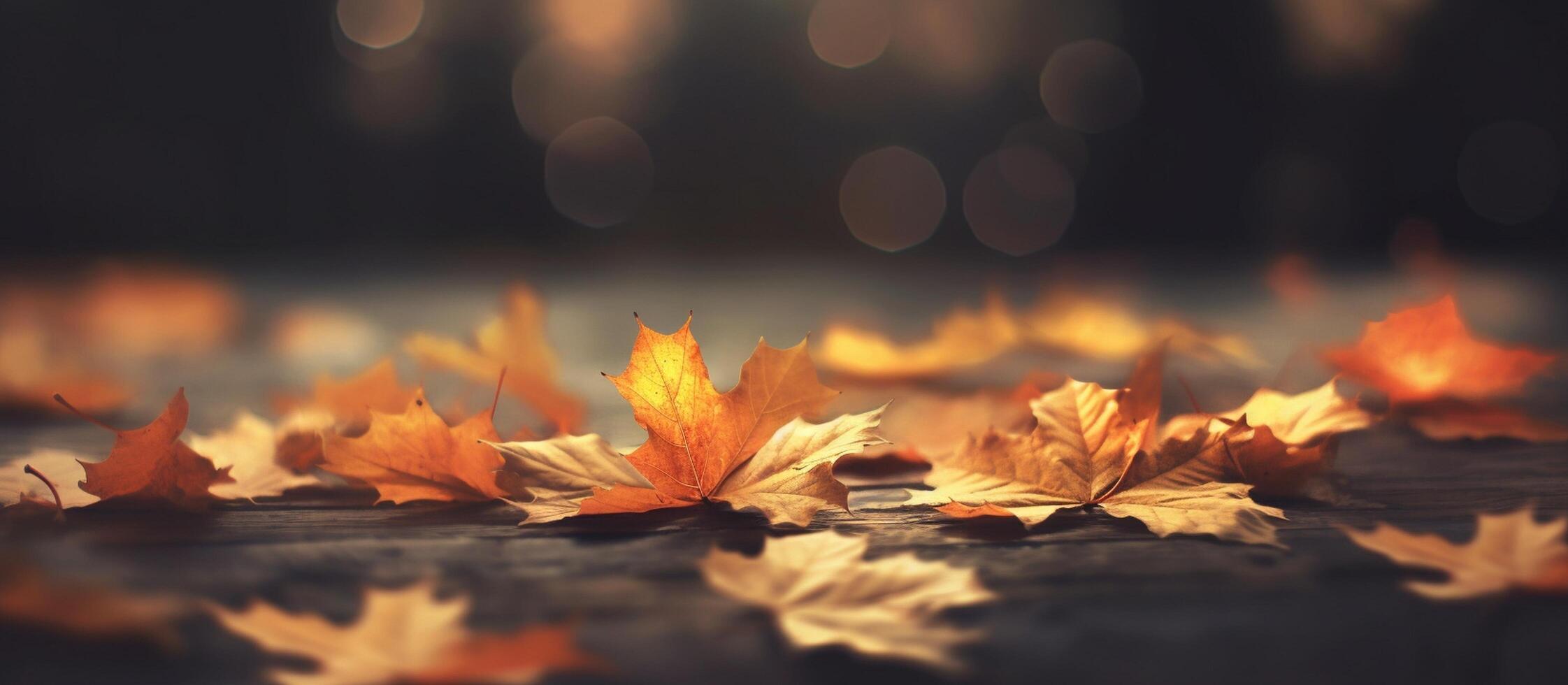 Beautiful autumn leaves on blurred background. photo