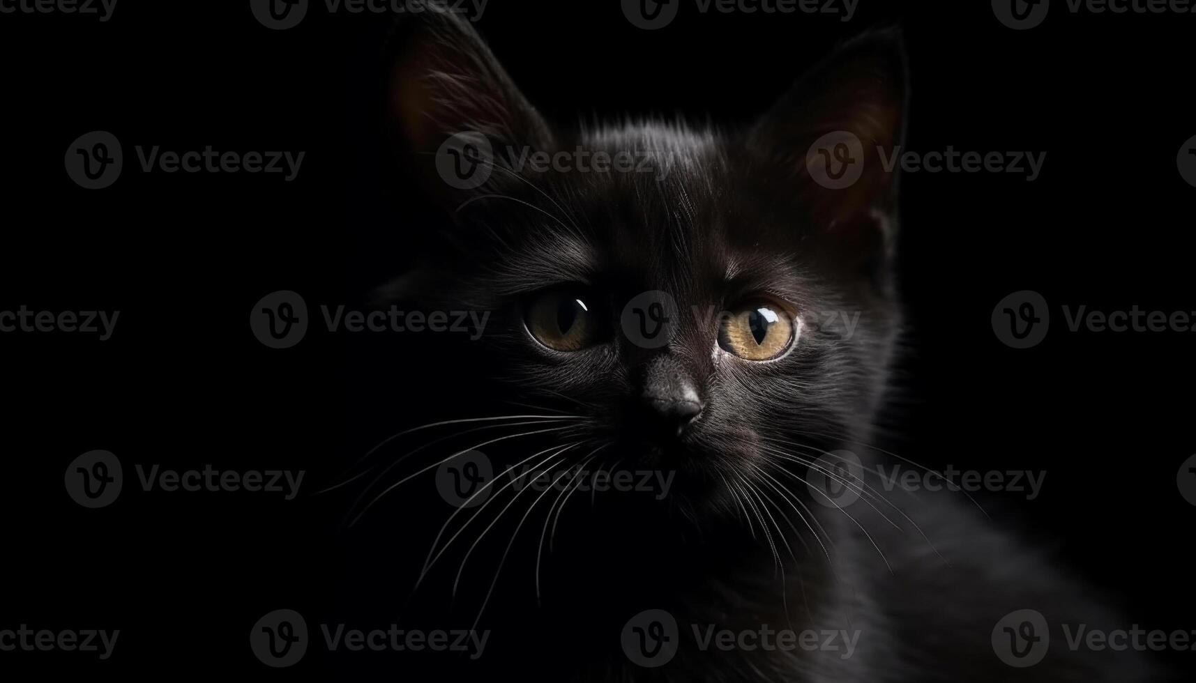 Cute feline kitten staring, playful and curious generated by AI photo