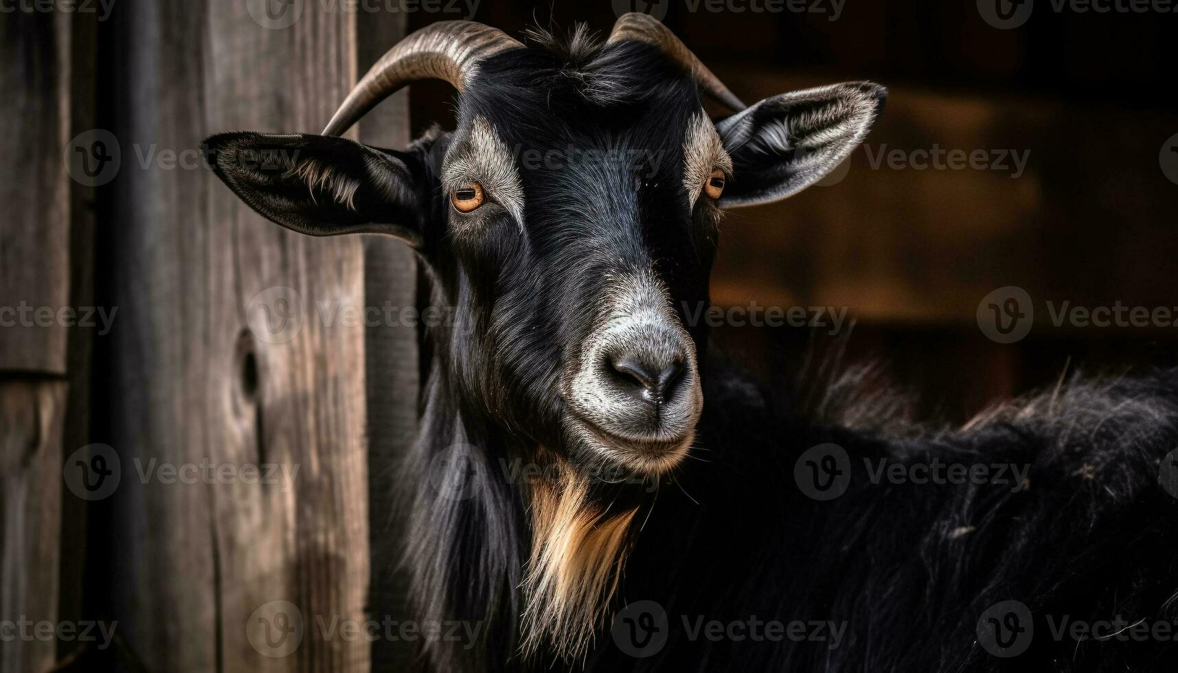 linda cabra en rural granja, mirando a cámara generado por ai foto