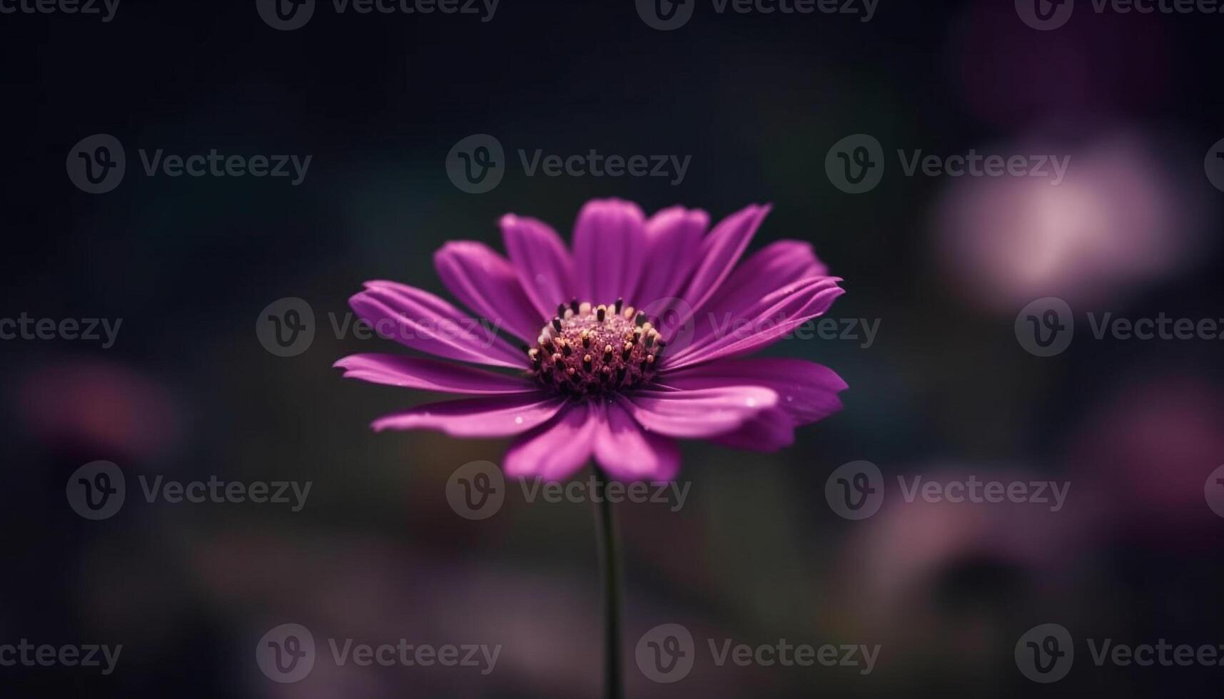 vibrante cosmos flor en suave enfocar, rodeado por flores silvestres y follaje generado por ai foto