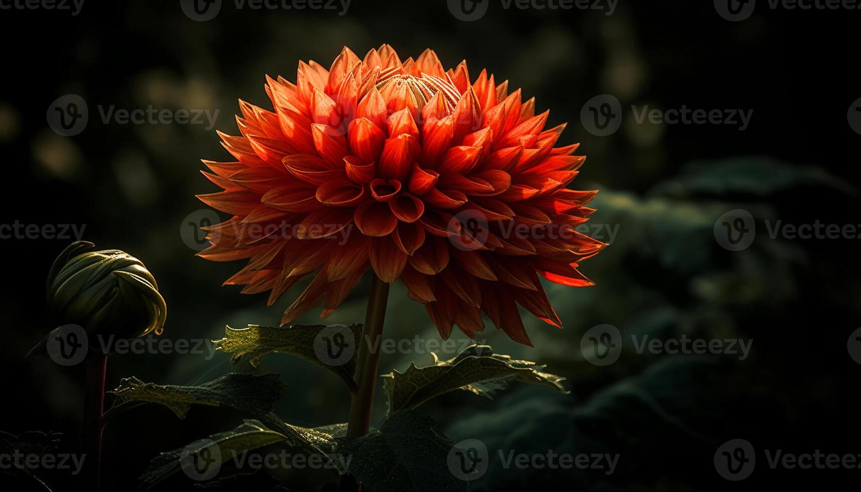 Vibrant bouquet of multi colored flowers, a gift of nature beauty generated by AI photo