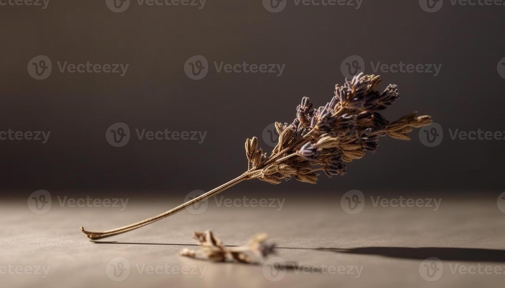 Autumn growth on dried plant, focus on foreground pattern generated by AI photo