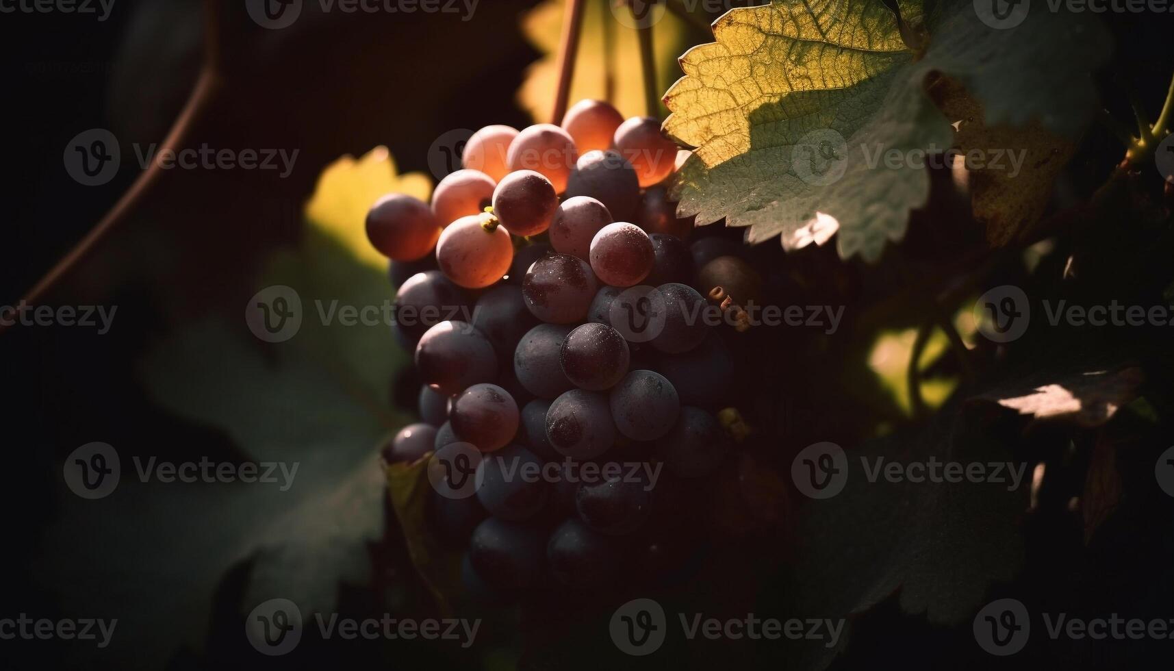 maduro uva racimos en viñedo sucursales, naturaleza dulce refresco generado por ai foto