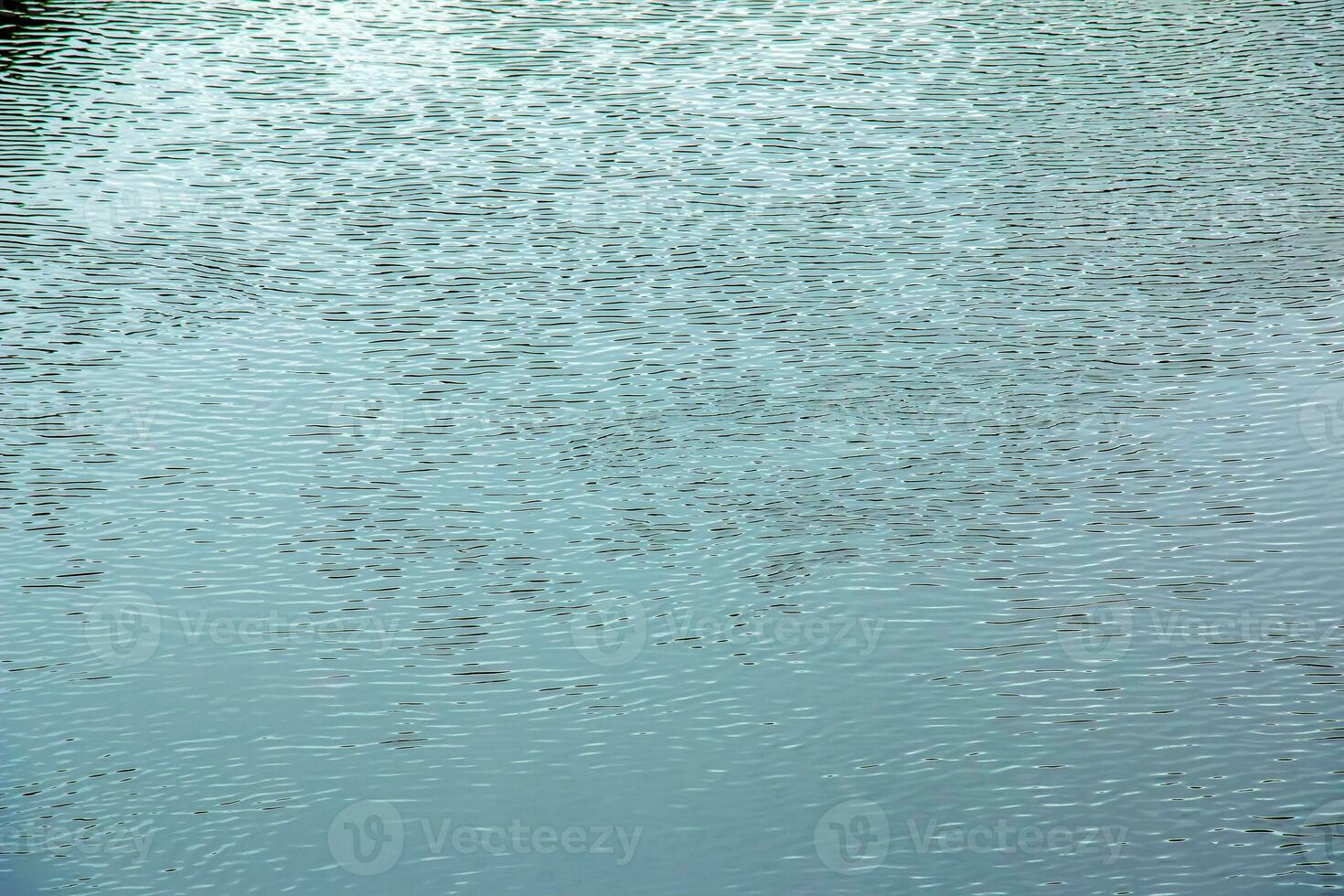 The texture of the water of the river. Natural water background with ripples and waves. photo