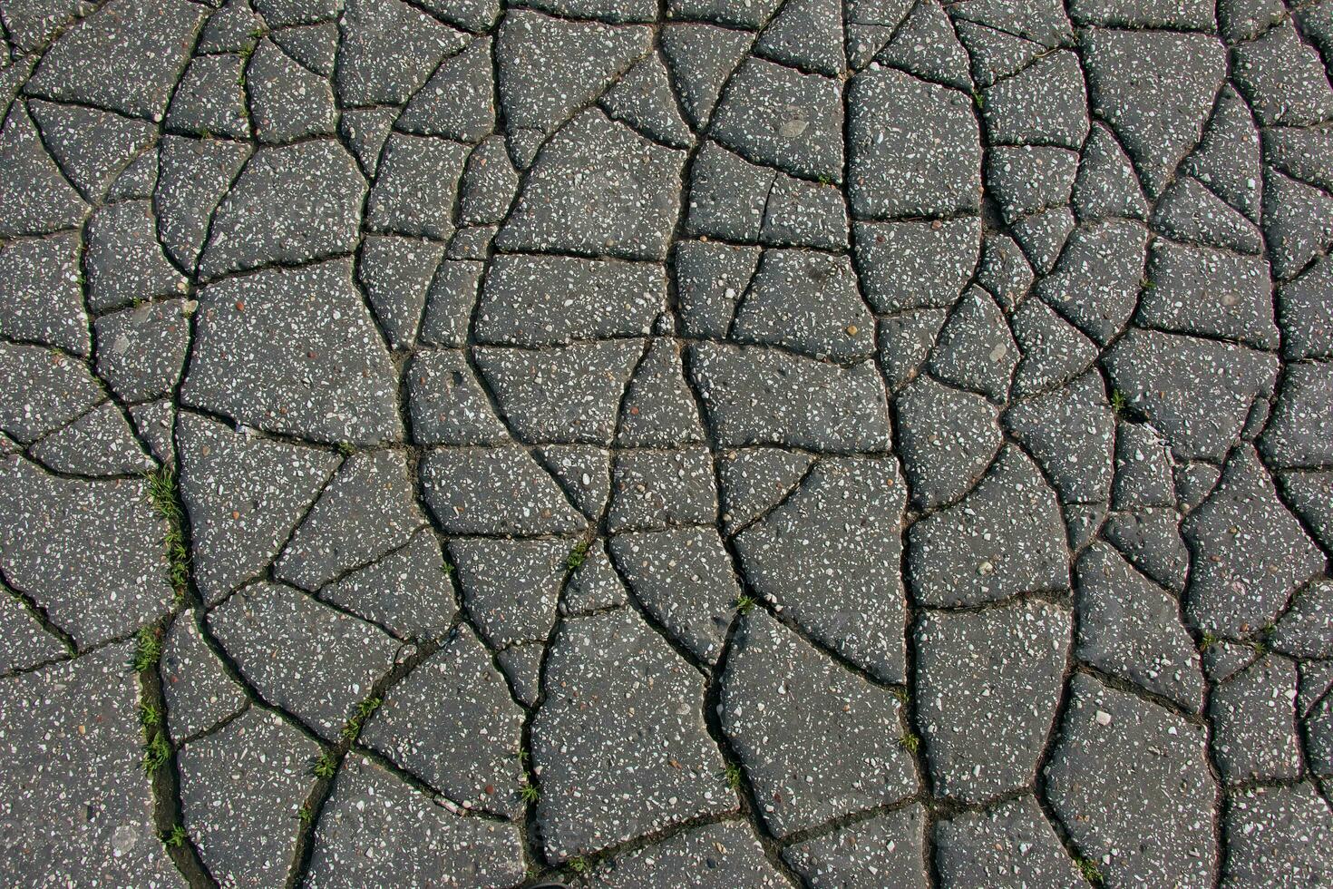 A network of black cracks on the asphalt surface. Road texture with weathered surface, showcasing the effects of time and wear. photo