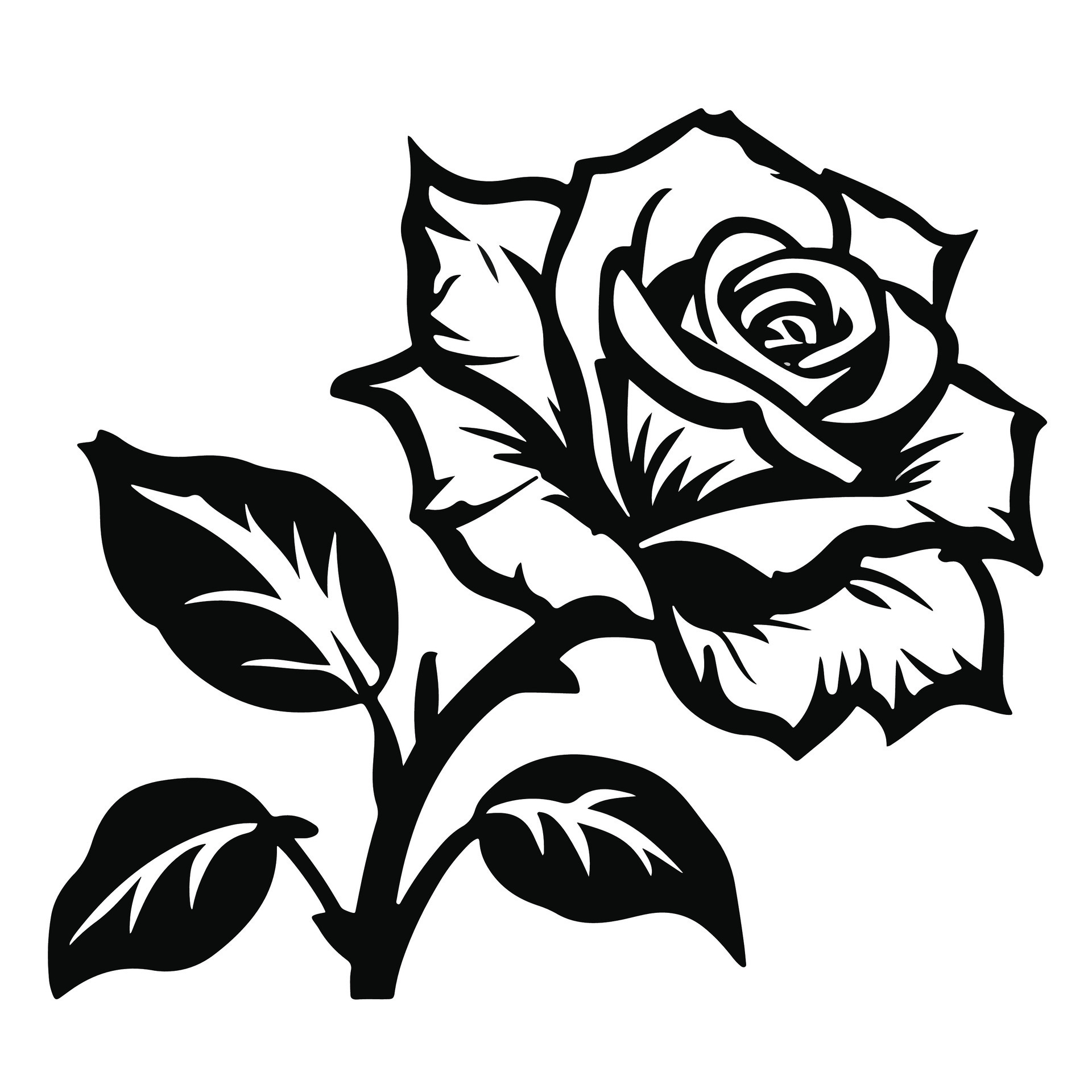 Vector black silhouettes of rose flowers isolated on a white background