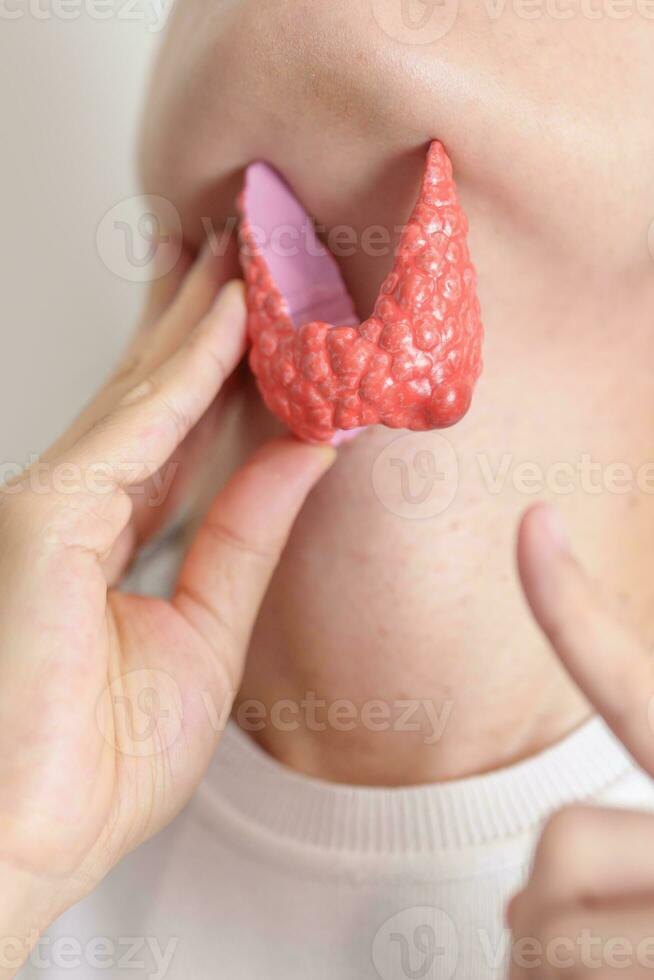 mujer participación humano tiroides anatomía modelo con su cuello. hipertiroidismo, hipotiroidismo, hashimoto tiroiditis, tiroides tumor y cáncer, posparto, papilar carcinoma y salud concepto foto