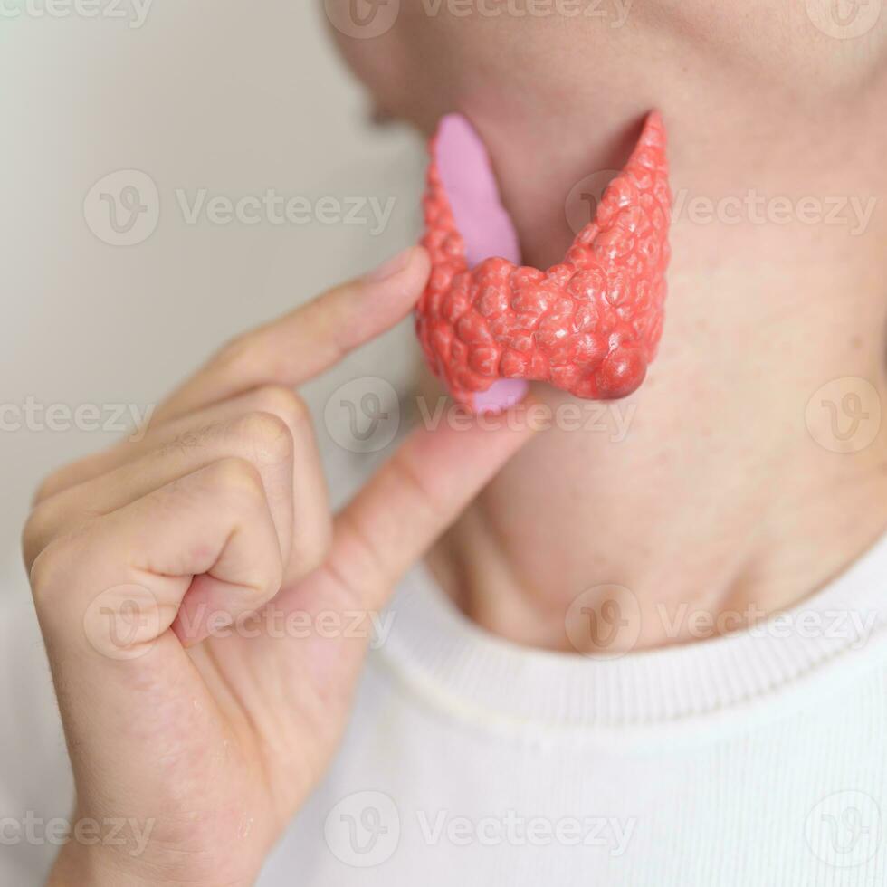 mujer participación humano tiroides anatomía modelo con su cuello. hipertiroidismo, hipotiroidismo, hashimoto tiroiditis, tiroides tumor y cáncer, posparto, papilar carcinoma y salud concepto foto