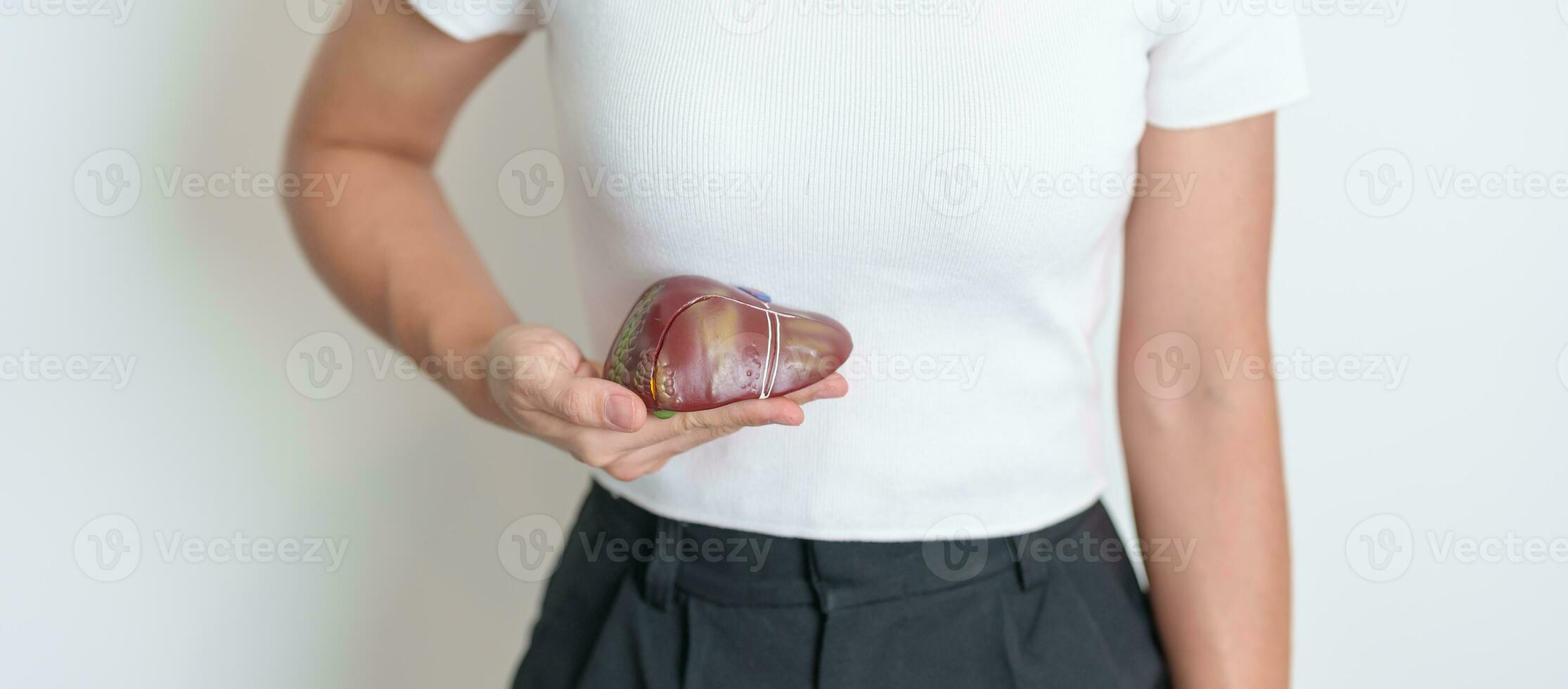 Woman holding human Liver anatomy model. Liver cancer and Tumor, Jaundice, Viral Hepatitis A, B, C, D, E, Cirrhosis, Failure, Enlarged, Hepatic Encephalopathy, Ascites Fluid in Belly and health photo