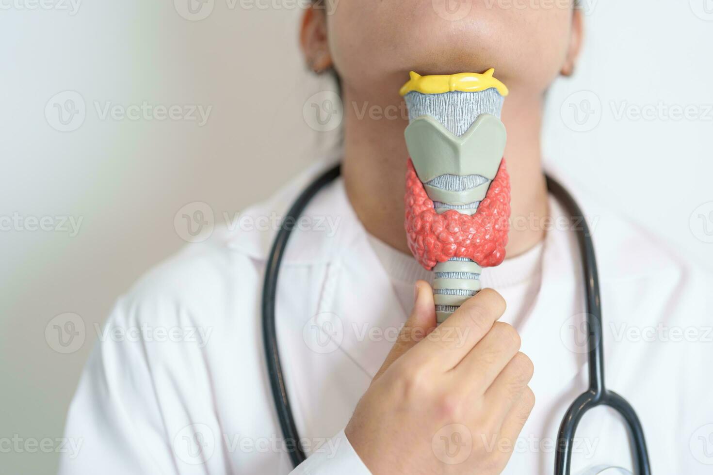 Doctor with human Thyroid anatomy model. Hyperthyroidism, Hypothyroidism, Hashimoto Thyroiditis, Thyroid Tumor and Cancer, Postpartum, Papillary Carcinoma and Health concept photo