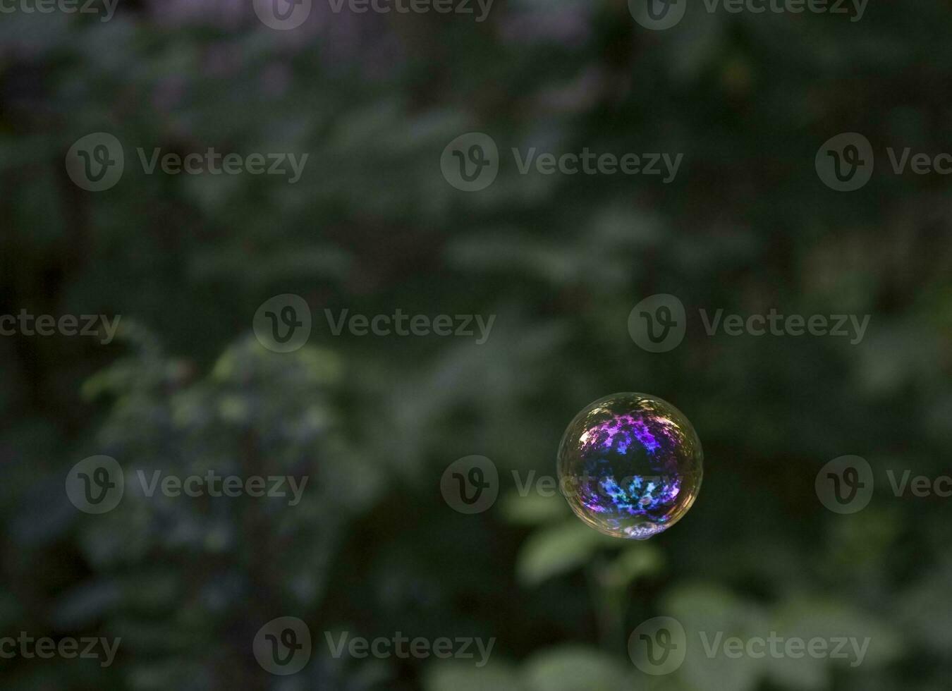 vistoso arco iris jabón burbuja en el antecedentes de verde arboles fuera de foto