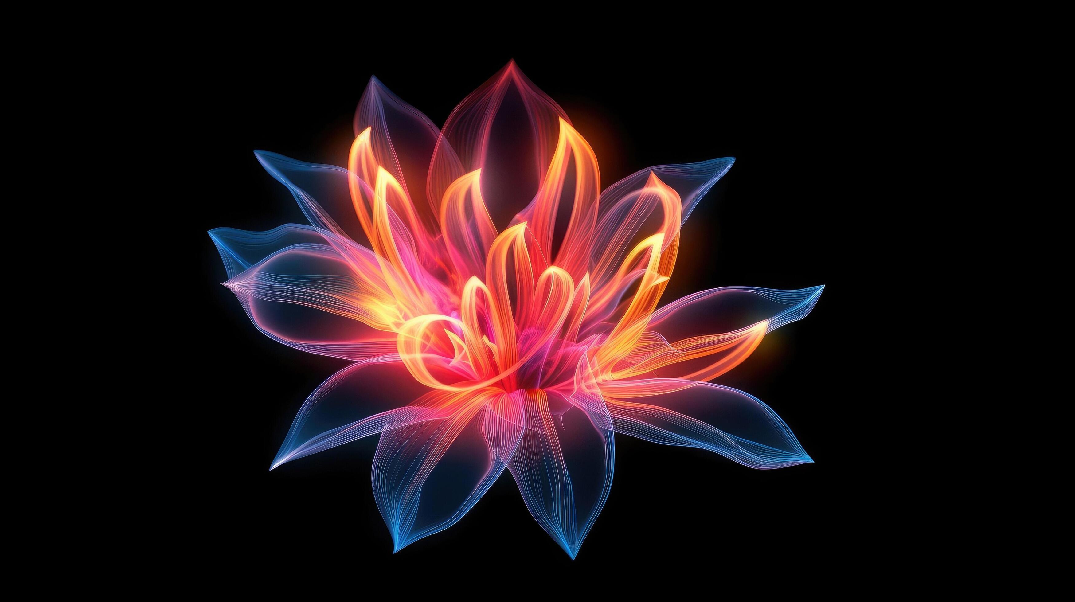 Multicolor neon light drawing, abstract shape flowers isolated on black