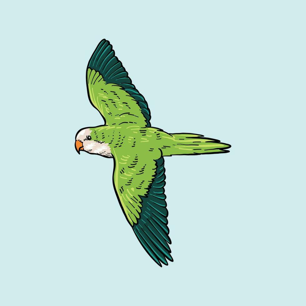 green parrot. Flying parrot vector illustration isolated on white background. Top side view, profile.
