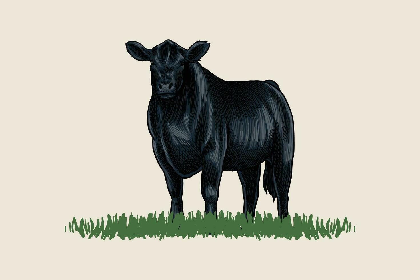 vector ilustración de negro angus vaca frente a adelante