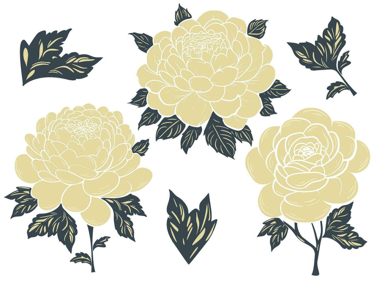 Golden peony flower and leaves set vector