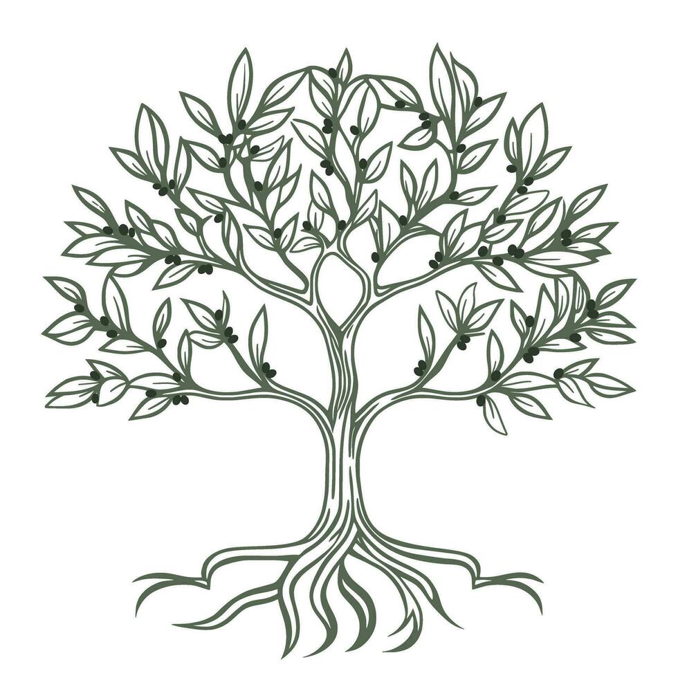 Olive tree hand engraving isolated illustration vector