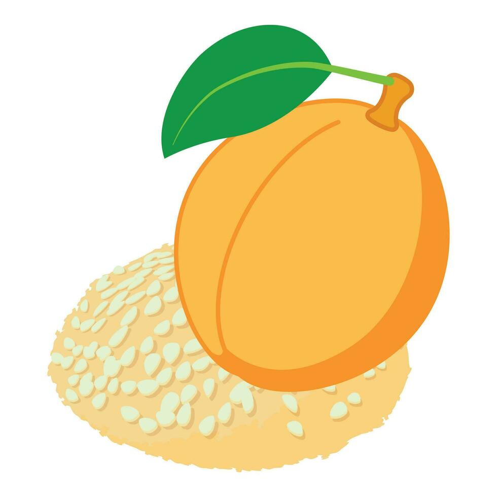 Apricot dessert icon isometric vector. Fresh ripe apricot and sesame cookie icon vector