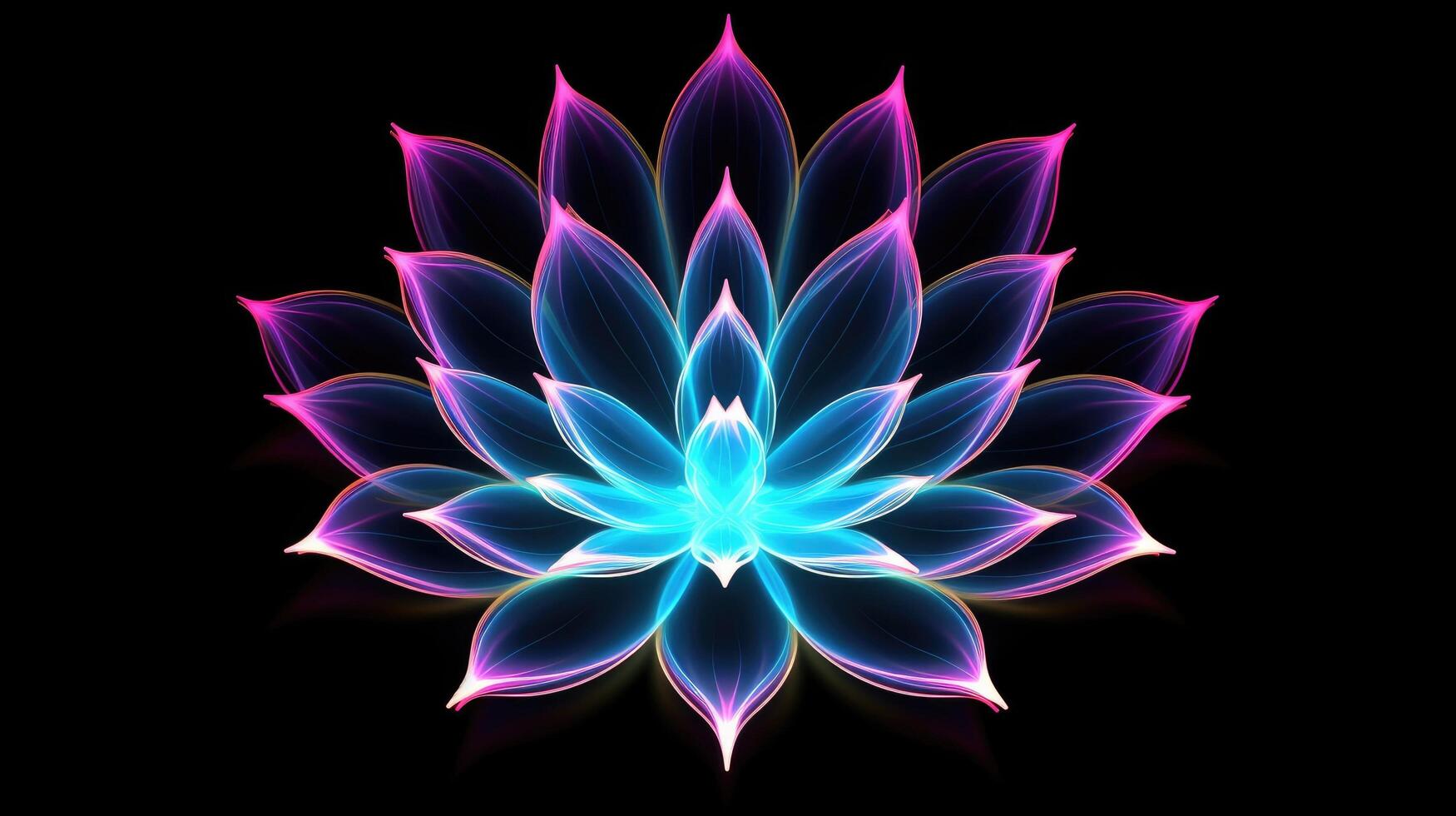 Multicolor neon light drawing, abstract shape flowers isolated on black background. Glowing line art. The Illumination of vibrant radiance of neon flower, illustration photo