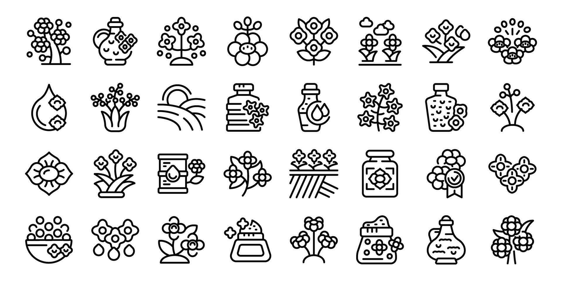 Rapeseed icons set outline vector. Canola flower 25505675 Vector Art at ...