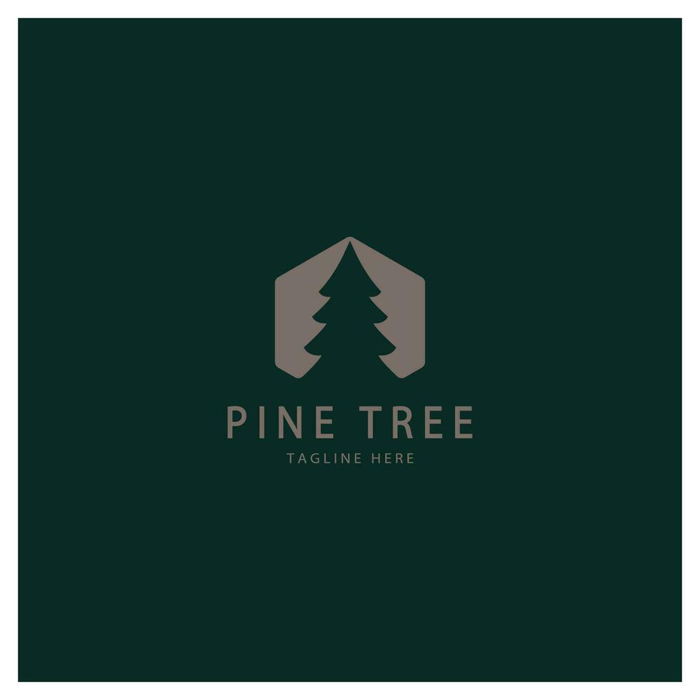 simple pine or fir tree logo,evergreen.for pine forest,adventurers,camping,nature,badges and business.vector vector