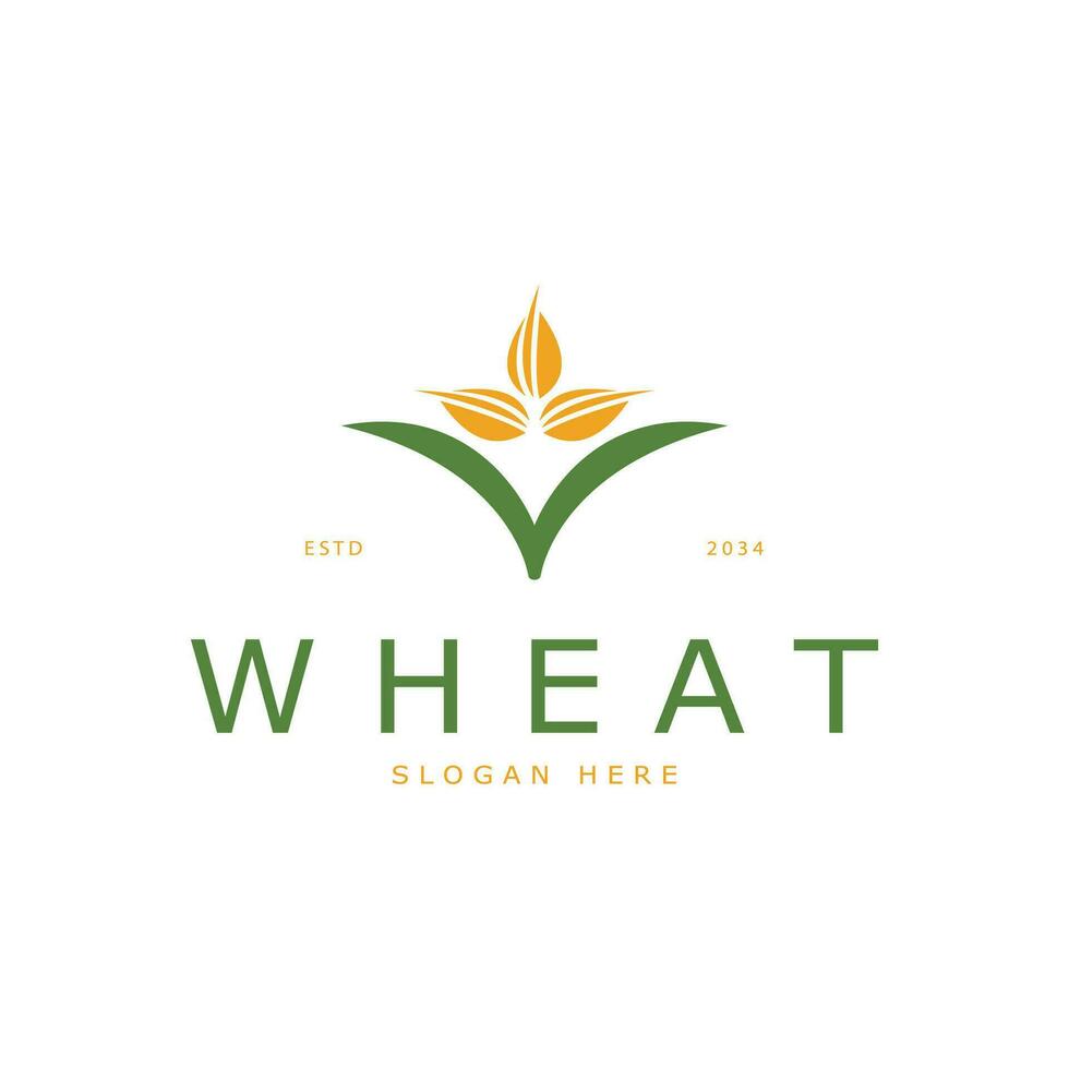 Agriculture Wheat logo template vector icon design