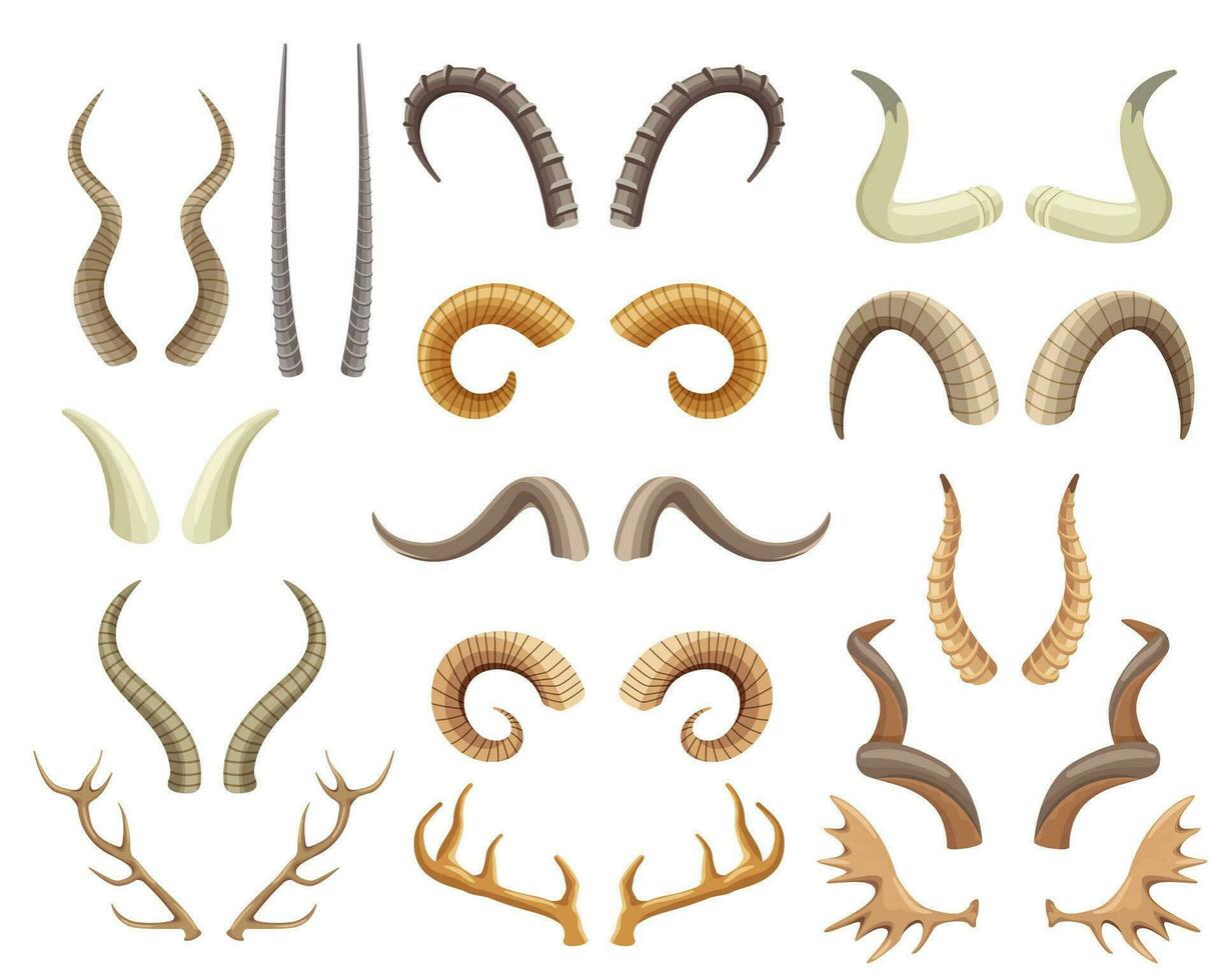 Animal horns and antlers, antelope, ram, moose, reindeer horn. Wild animals hunting trophies, deer antler, buffalo and goat horns vector set