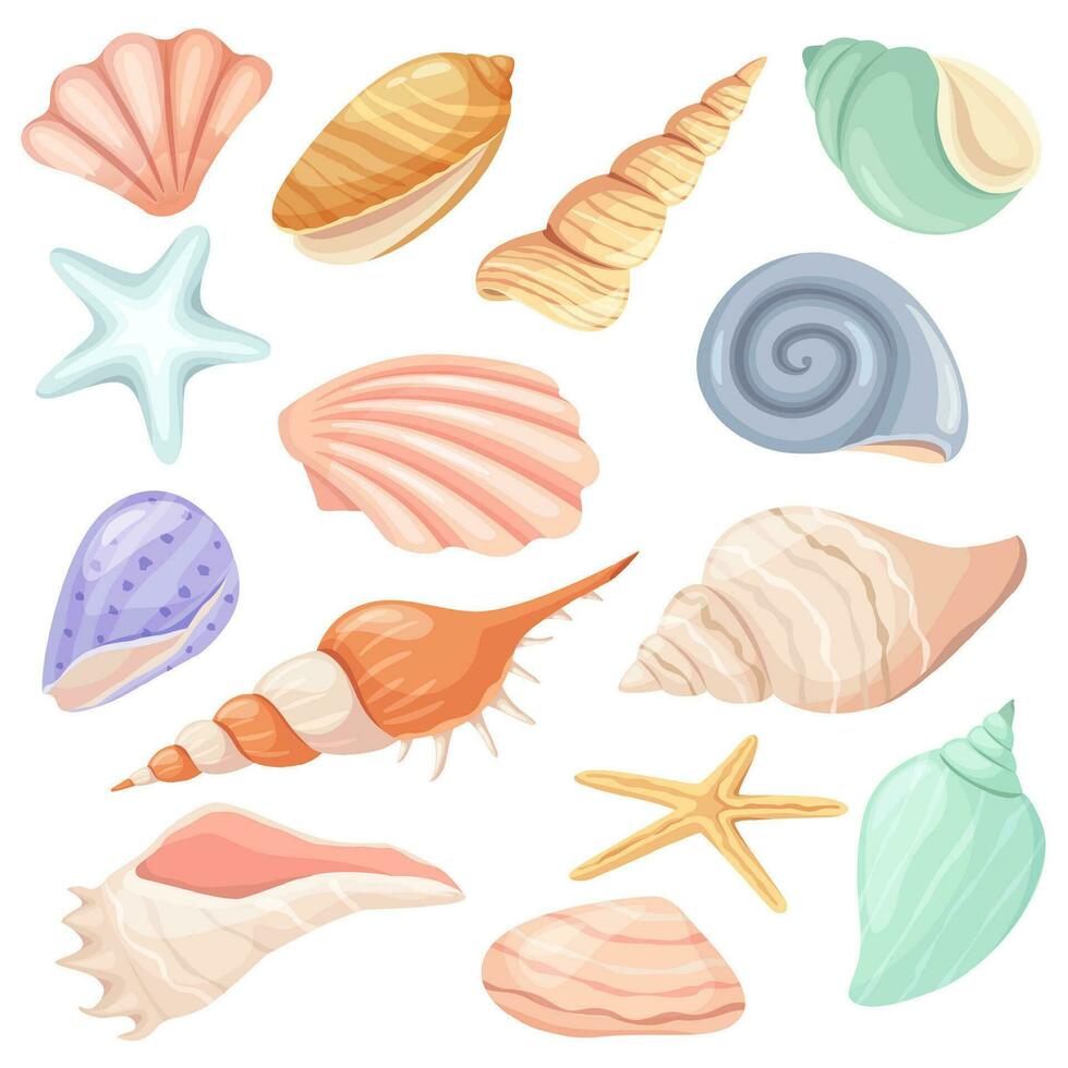 Cartoon seashells and starfish, tropical ocean seashell. Snail, oyster, clam shell, marine mollusk shells, summer beach elements vector set