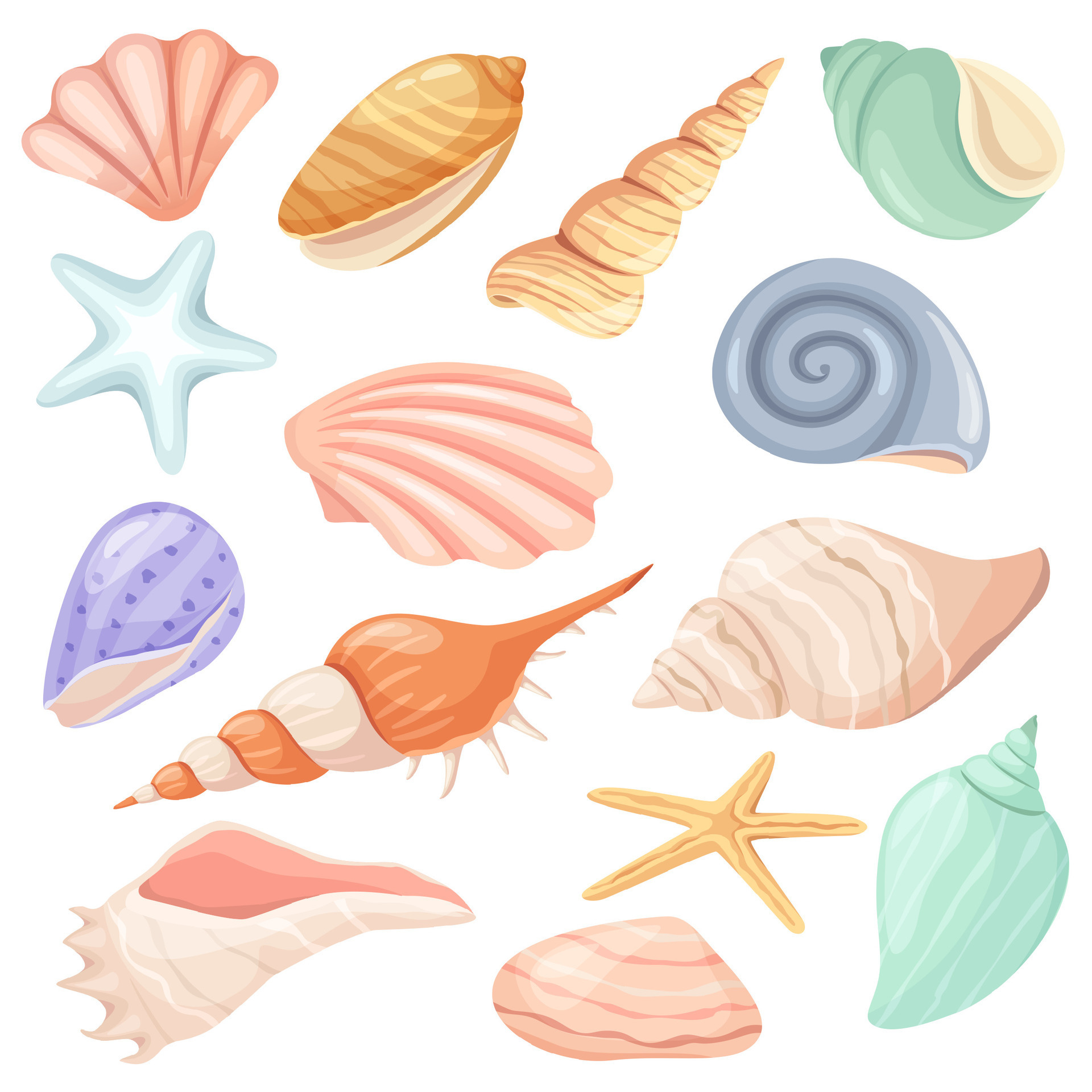 How are seashells created? Or any other shell, such as a snail's