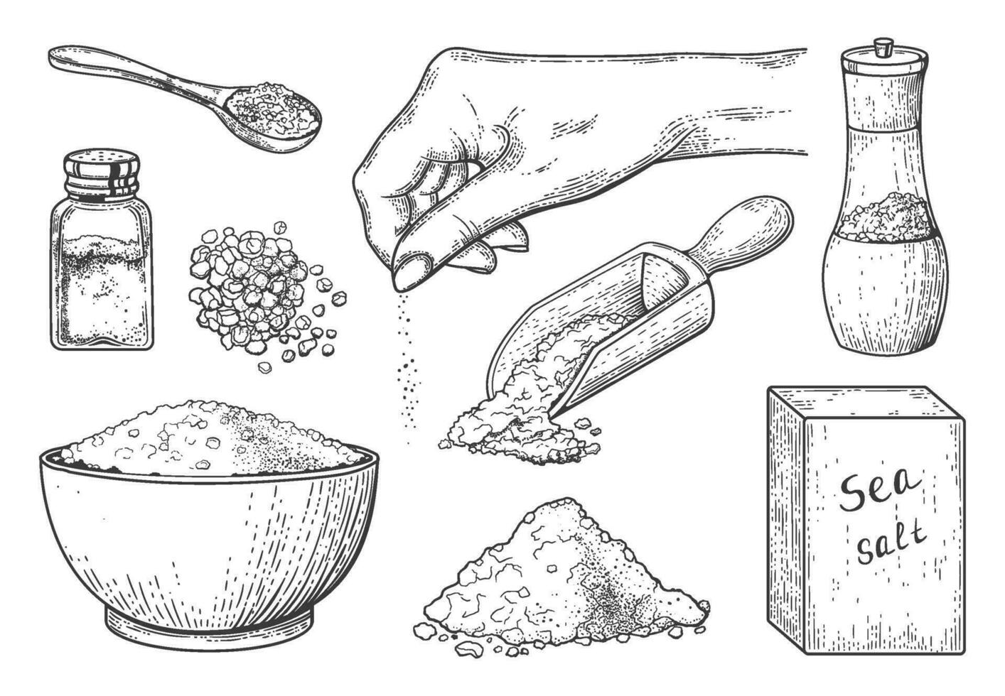 mar sal Clásico grabado, comida Condimento en cuchara y bol. mano dibujado sal cristal polvo en mano, de madera cucharón con sal vector bosquejo conjunto