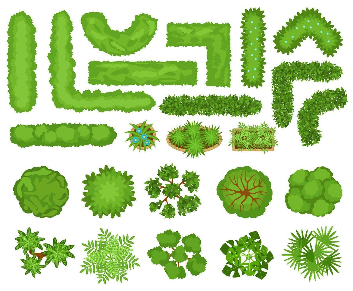 Top view trees, plants, garden bushes and hedges for landscape design. City park landscaping elements, hedge, bush, flowers vector set