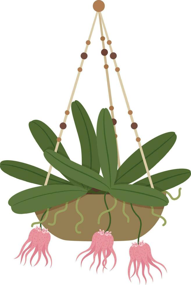 House plants in pots, hanging houseplants, indoor home decor. Potted cactus, succulents, urban jungle plant interior decorations vector set