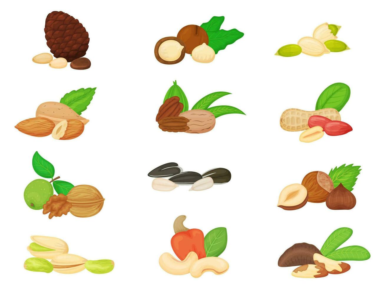 Cartoon nuts and seeds, walnut, almond, sunflower and pumpkin seed. Pine and brazil nut, pistachio, cashew, peanut, hazelnut vector set