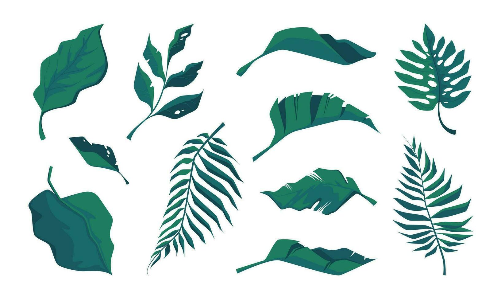 Tropical leaves. Exotic botanical floral elements palm leaf monstera philodendron, tropic foliage tree branch icons colorful cartoon style. Vector isolated set