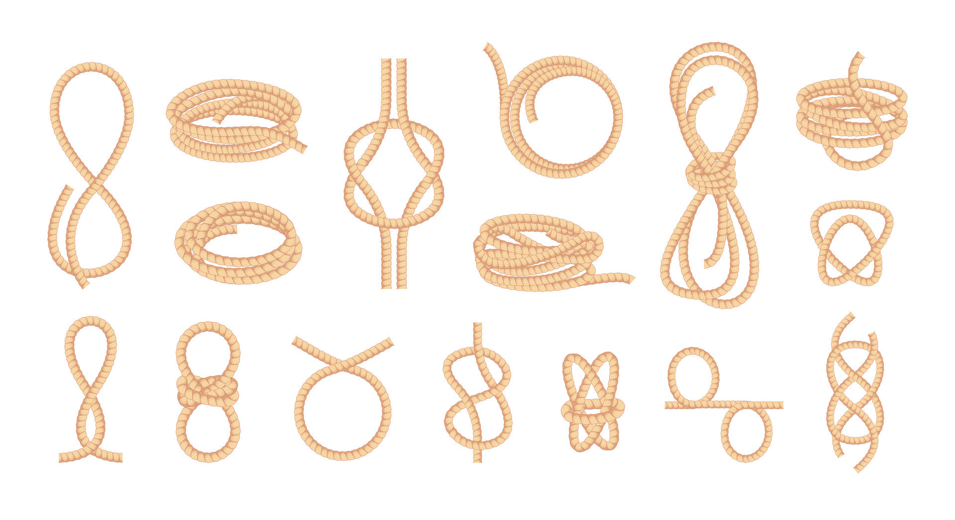 Knotted ropes. Looped bowknot twisted curve straight fiber thread, braided  cord knot string tie elements cartoon flat style. Vector isolated  collection 25515443 Vector Art at Vecteezy