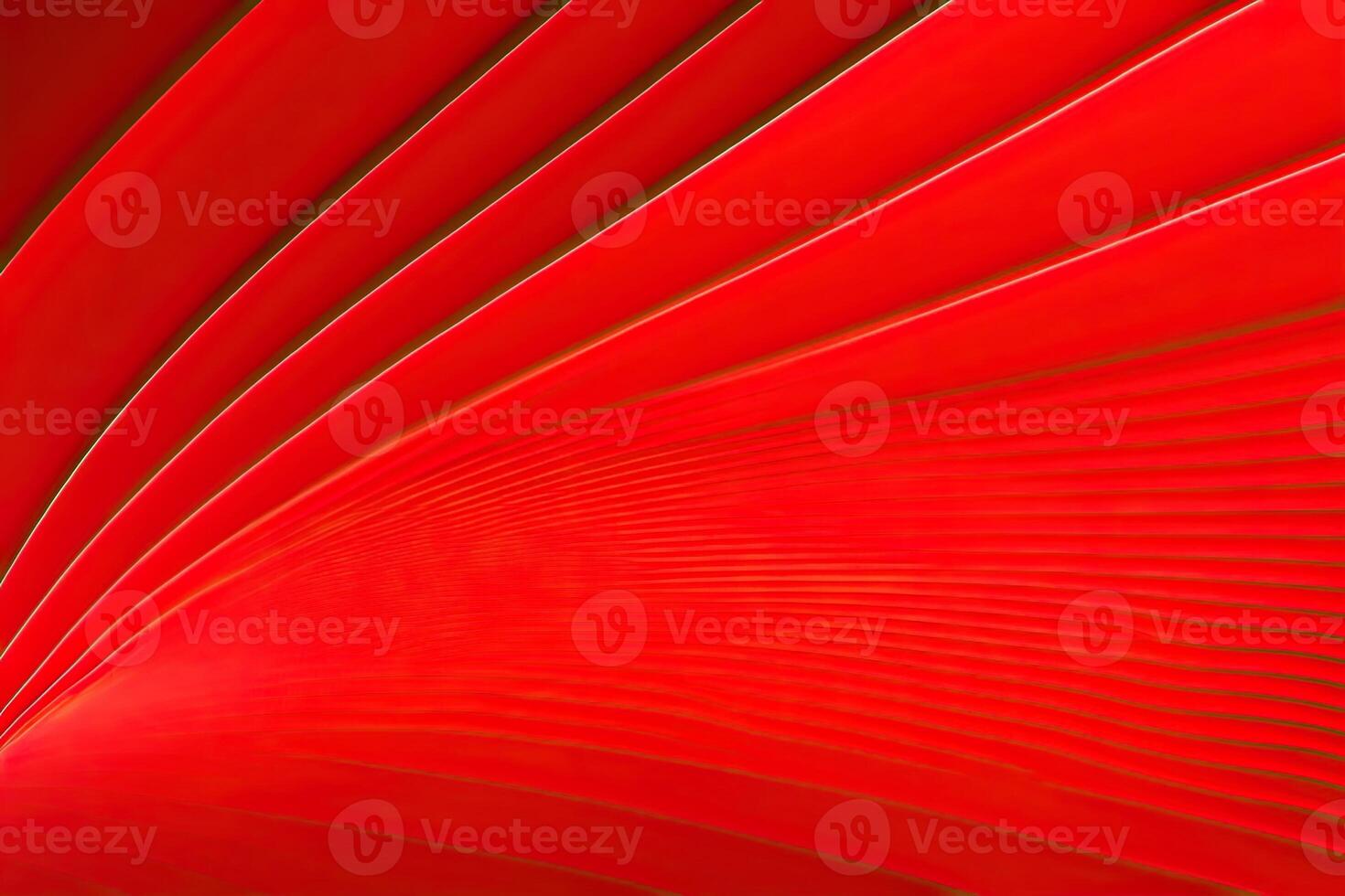 Red Abstract Background photo