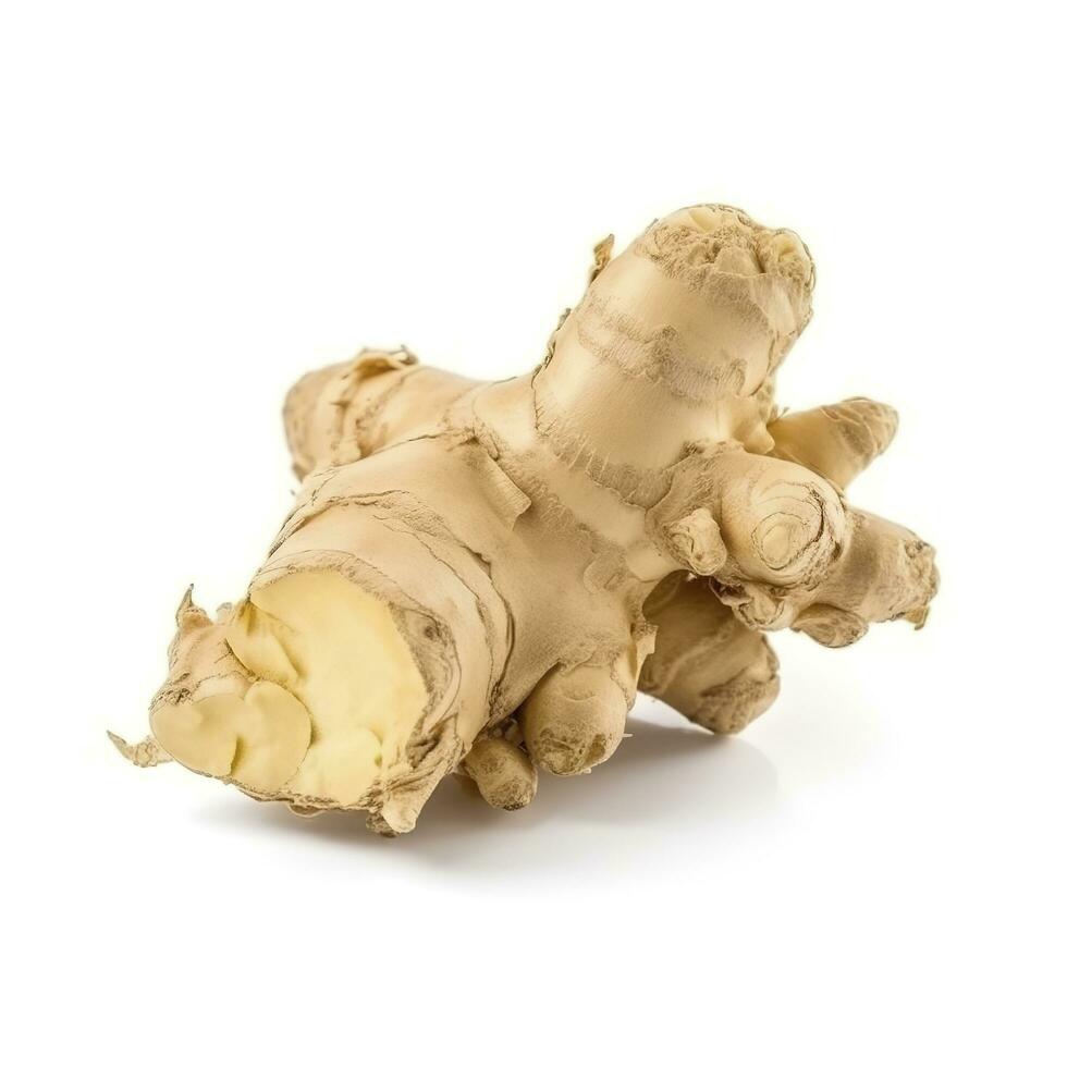 Fresh ginger root or rhizome isolated on white background cutout, generate ai photo