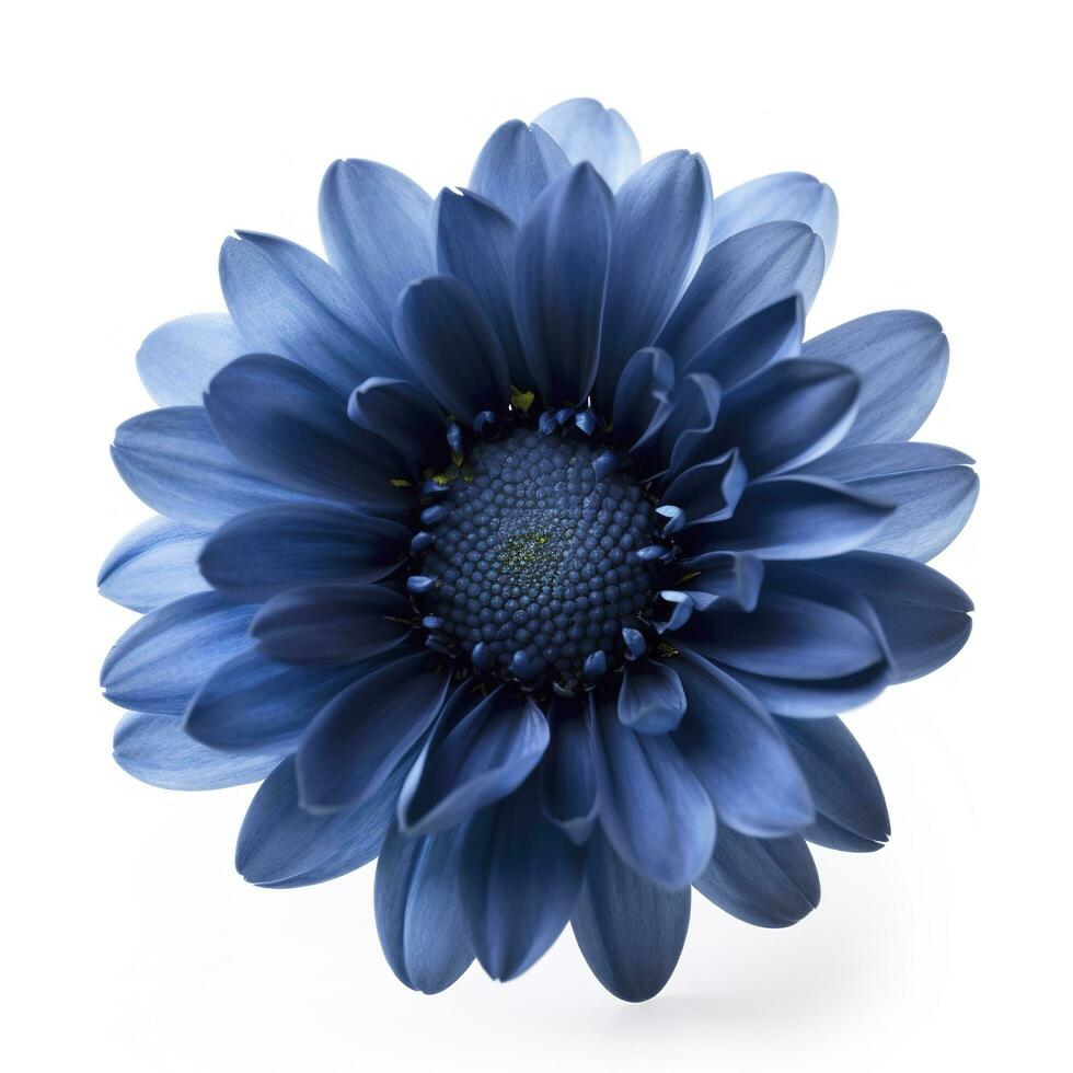 Blue flower isolated on white background, generate ai photo