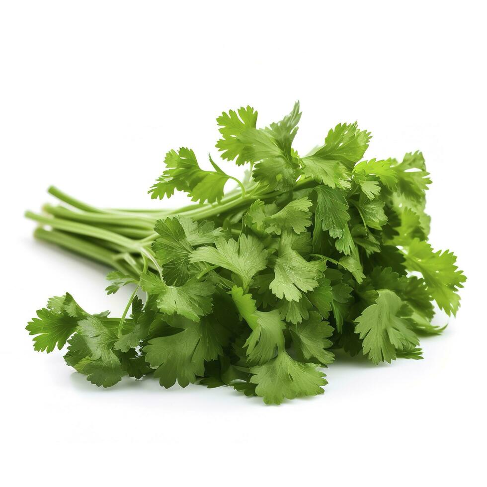 fresh cilantro coriander isolated on white background, generate ai photo