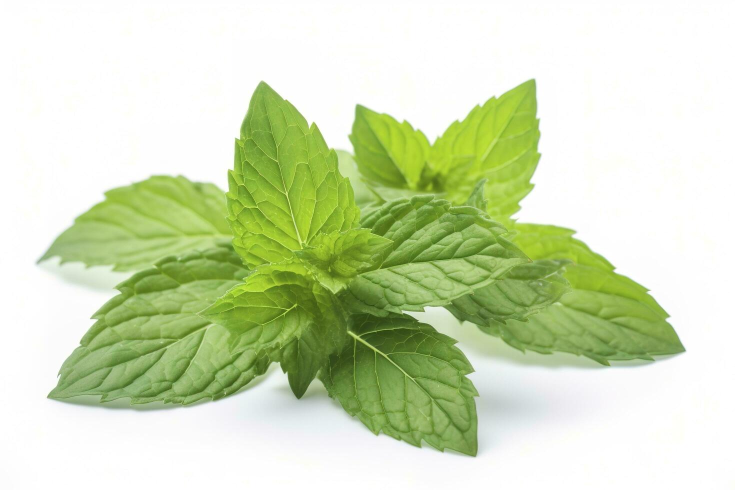 fresh green mint leaves isolated on white background, top view. Flat lay, generate ai photo