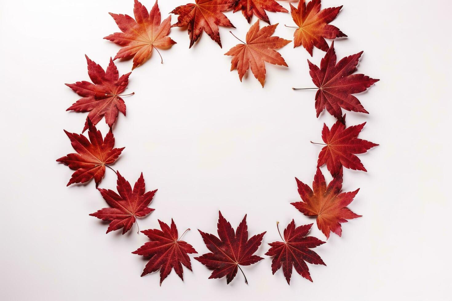 red maple leaves isolated on white background, generate ai photo