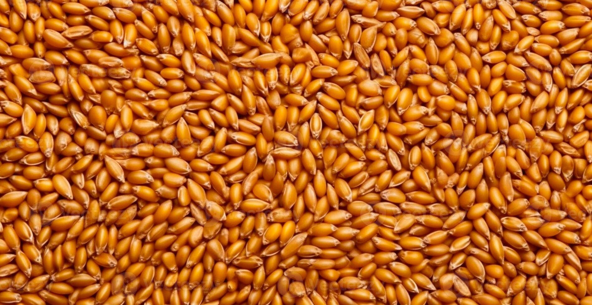 Wheat grains, flour, bakery background - AI generated image photo