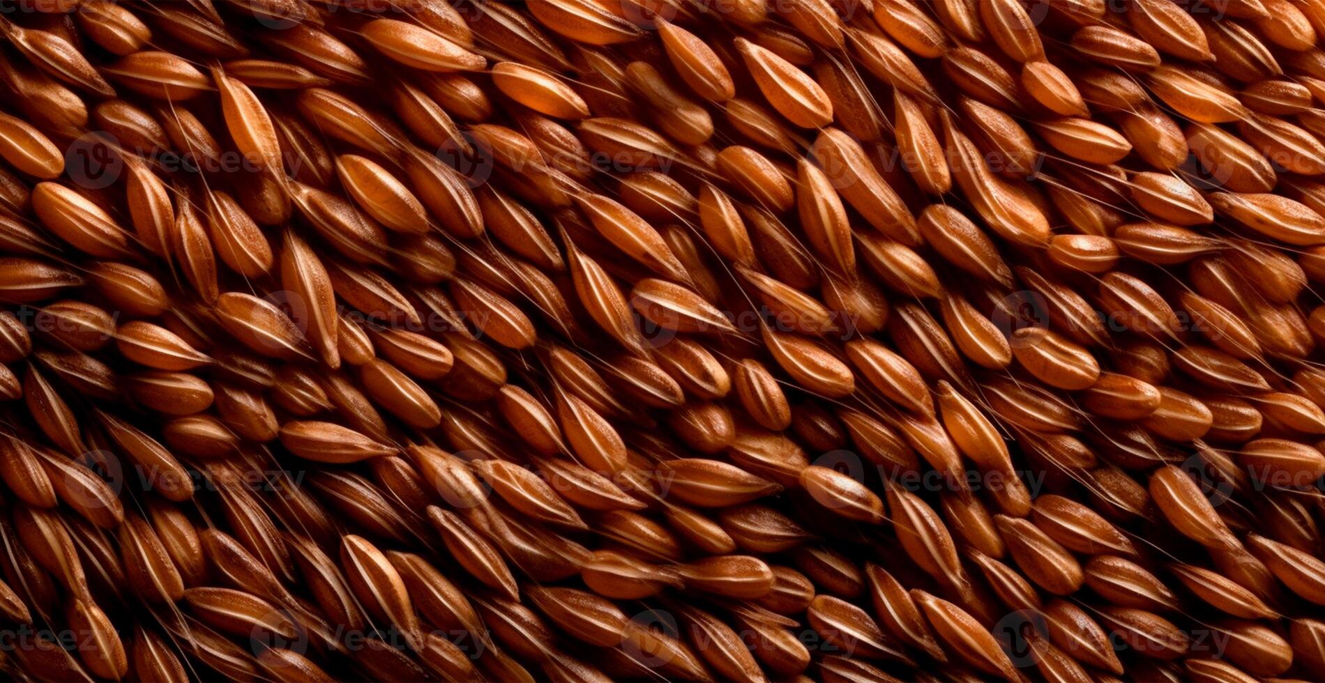 Wheat grains, flour, bakery background - image photo